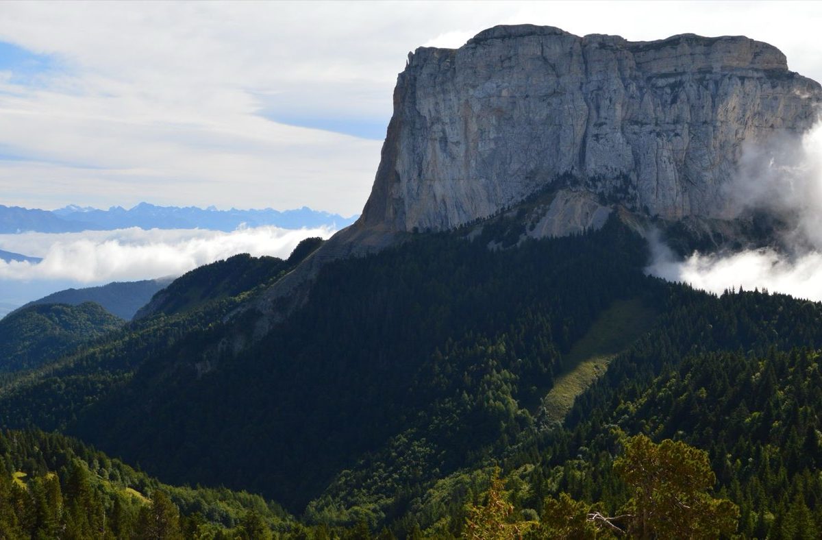 Guide pratique : forage, puits, eau de pluie et assainissement