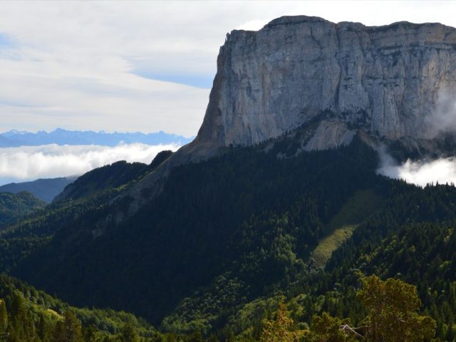 Guide pratique : forage, puits, eau de pluie et assainissement