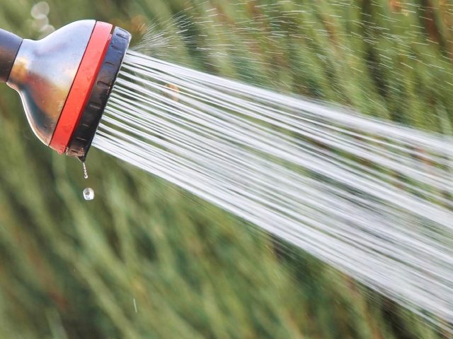 Choisir un régulateur de pression pour arrosage jardin et maison