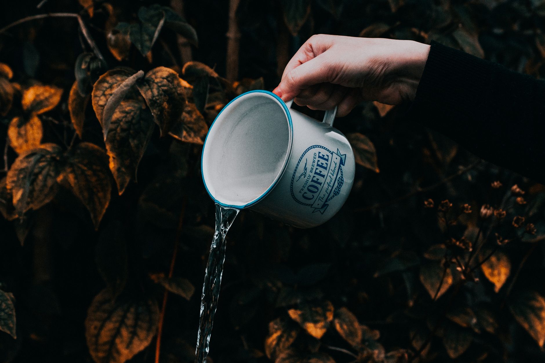 Comment un filtre à eau peut révolutionner votre jardinage