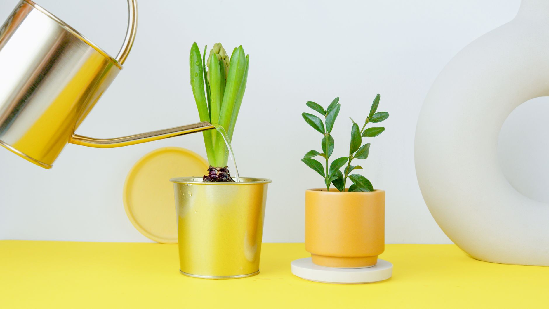 Pourquoi votre jardin souffre sans un bon filtre à eau