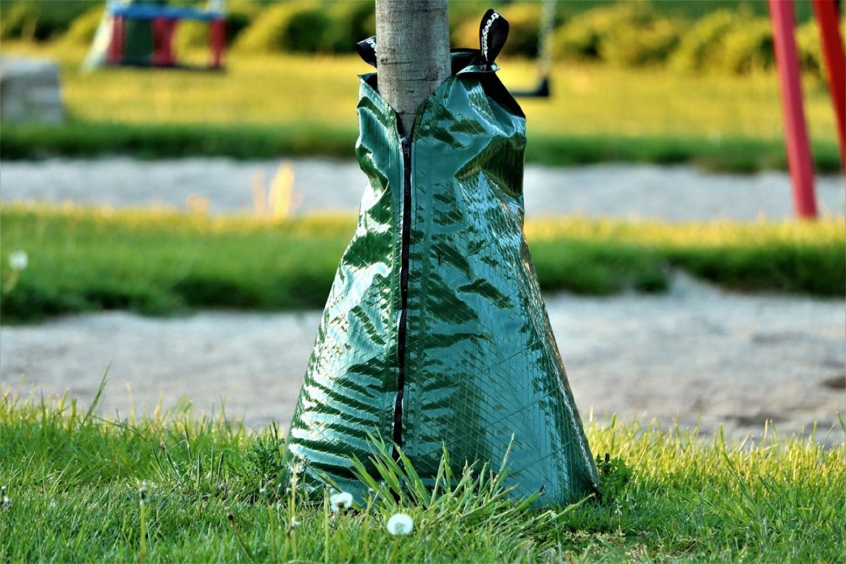 Comparatif des meilleurs kits de micro‑irrigation pour potager