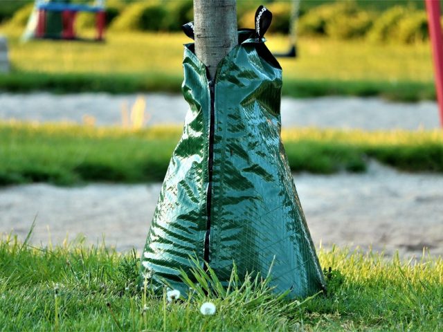 Comparatif des meilleurs kits de micro‑irrigation pour potager