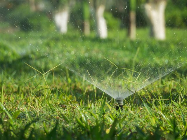 Pourquoi ignorer le tamis filtrant peut ruiner votre jardin