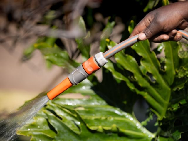 Pourquoi un filtre à sédiments est vital pour la santé de vos plantes