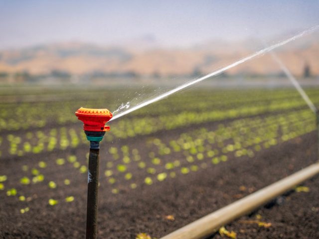 Optimisez votre arrosage avec le porte-filtre Aquaboon 20 pouces