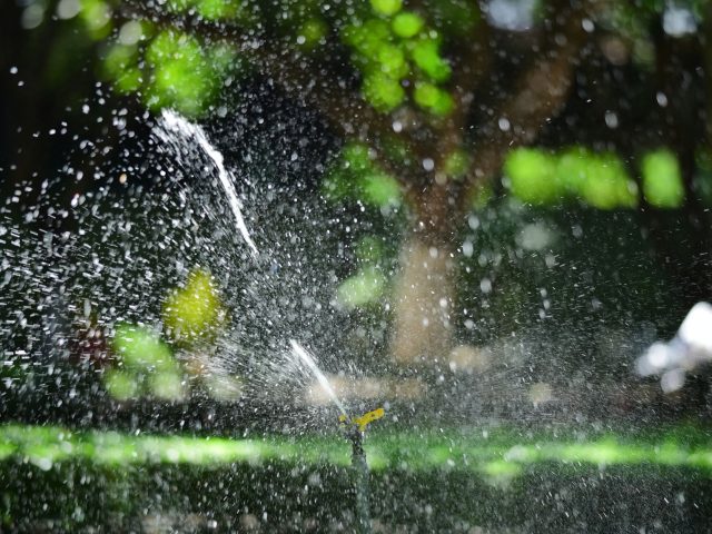 Nouveaux systèmes de filtration pour l’arrosage de votre jardin