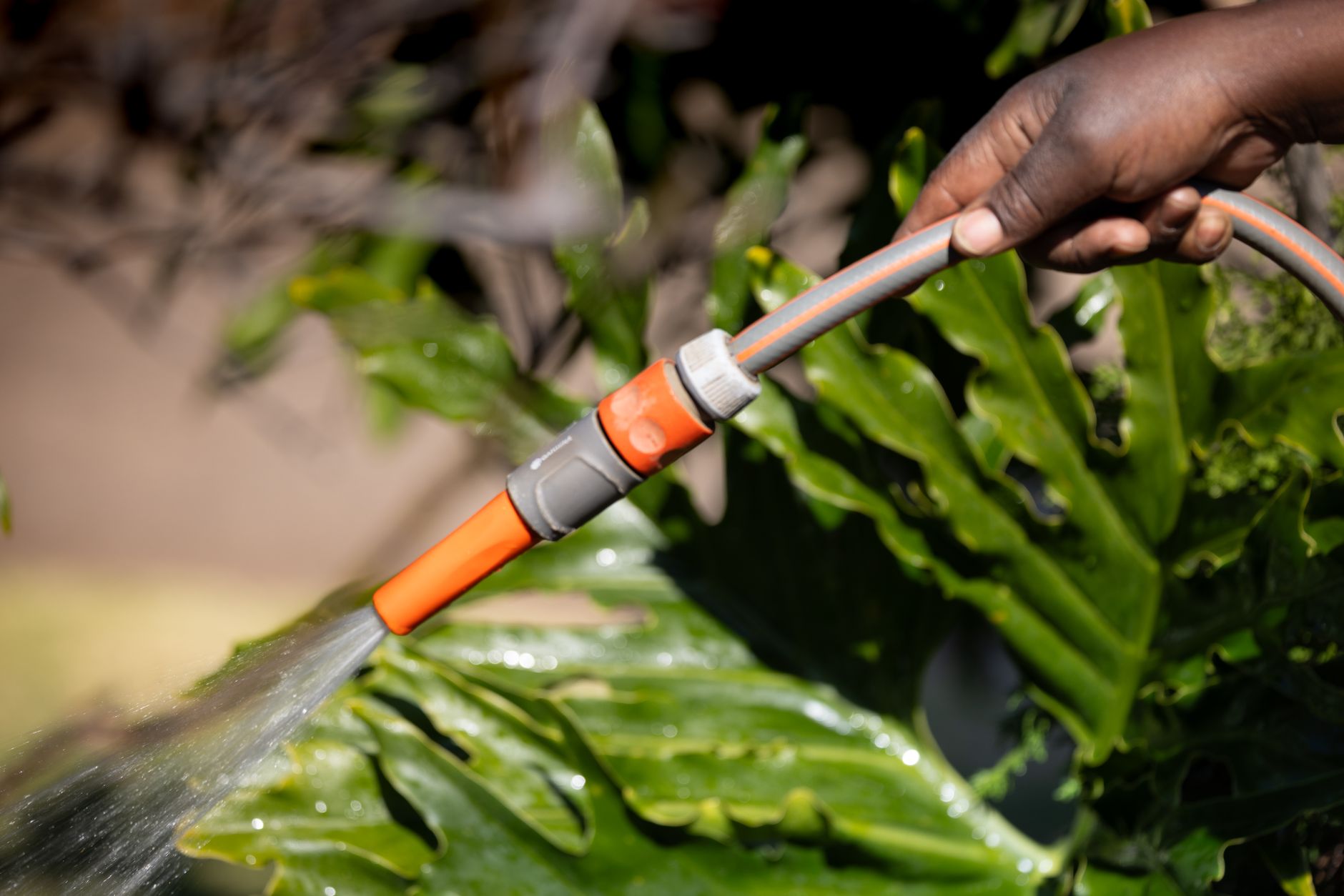 Comparatif des meilleurs kits de micro‑irrigation pour potager